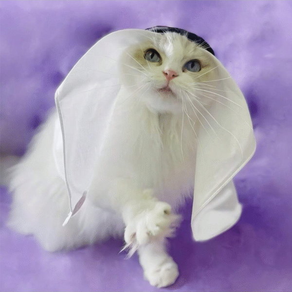 Traditional Gulf Turban for Pets