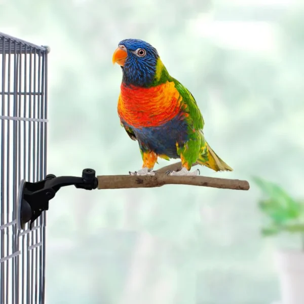 New Parrot Perch Suction Cup