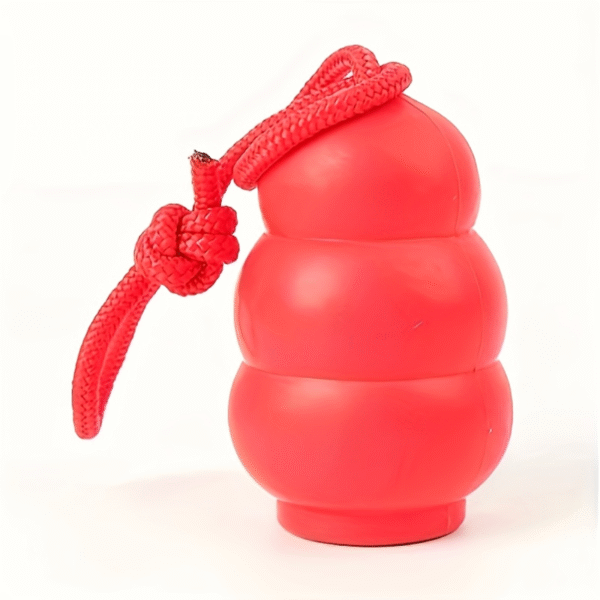 Fetch & Chewy Dog Toy with Rope