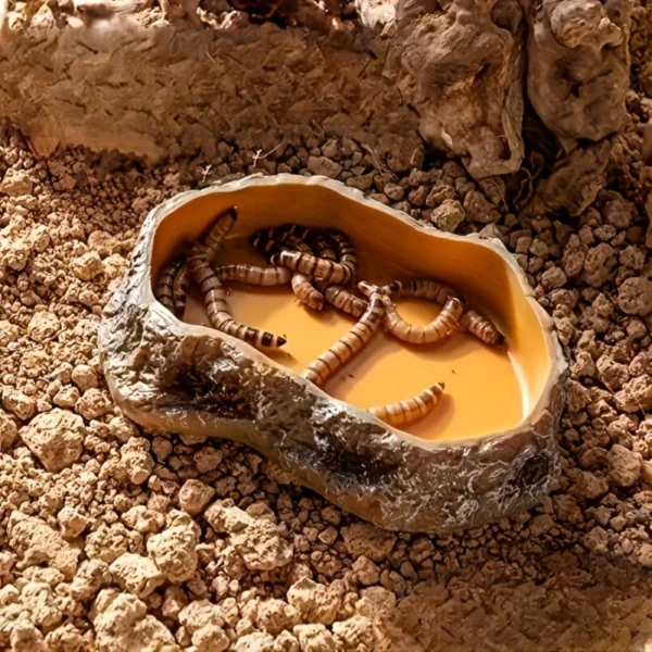 Rock-like Design reptile water dish & feeding tray