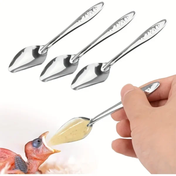 Stainless Steel Parrot Feeding Spoons 4 pcs