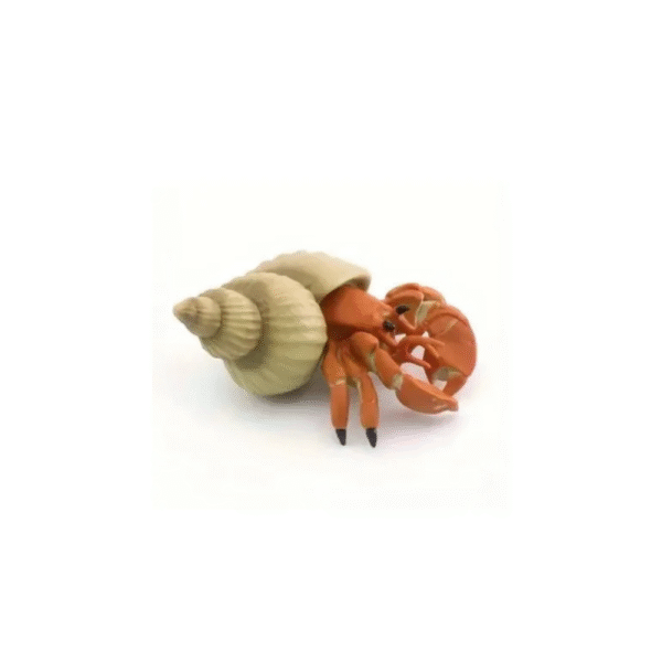 Realistic Hermit Crab For Aquarium
