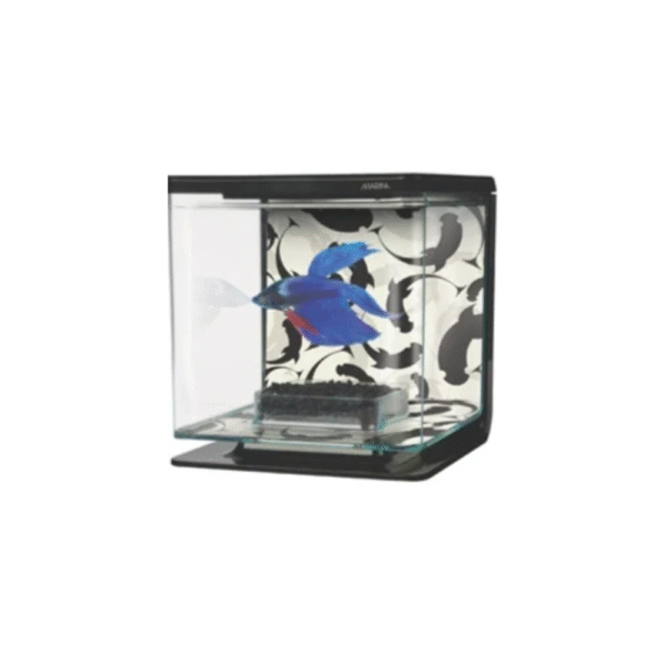 Marina Betta Aquarium Kit Ying Yang , 2L