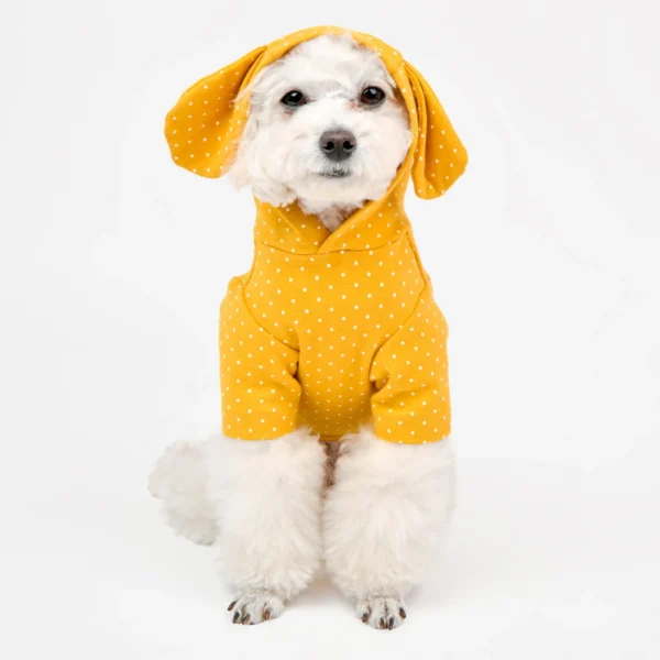 Olchi Rabbit Polo Hoodie