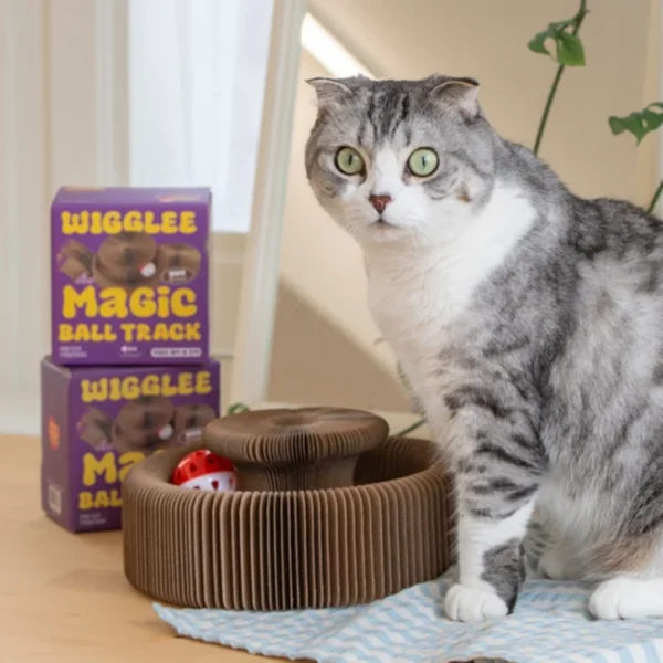 Wiggles Magic Ball Track Cat Scratch