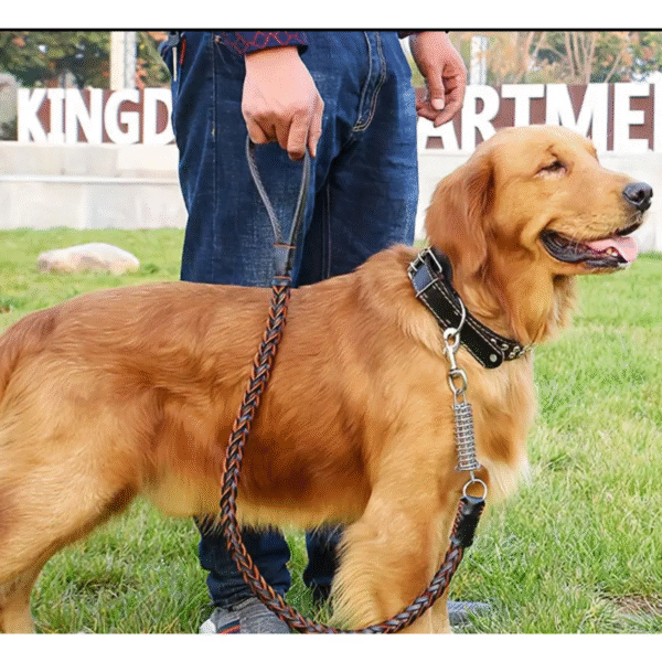 Genuine Leather Stud Decor Cowhide Dog Collar With Leash Dark Red