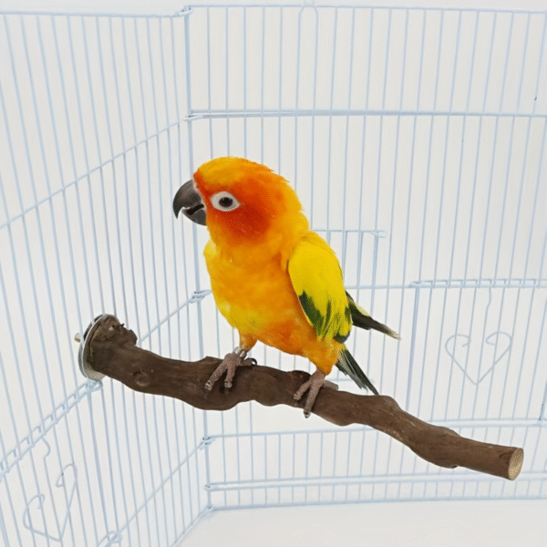 Grape Wood Perch for Small & Medium Birds