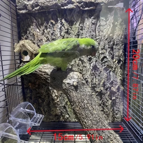 Natural Cork Bark Bird Habitat Decor, 1Pc