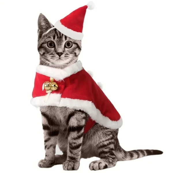 Santa Hat & Cape with Golden Bells For Pets