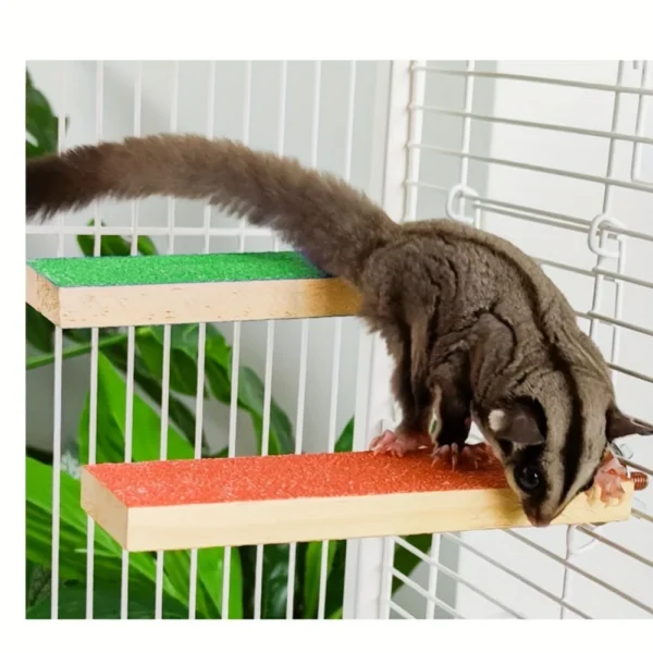 Sugar Glider Toys Cage Steps