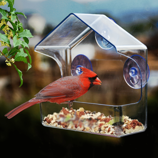 Window Bird Feeder ergonomic design