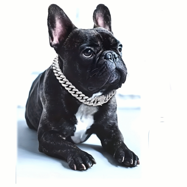 Stainless Steel Silvery Dog Collar Cuban Design